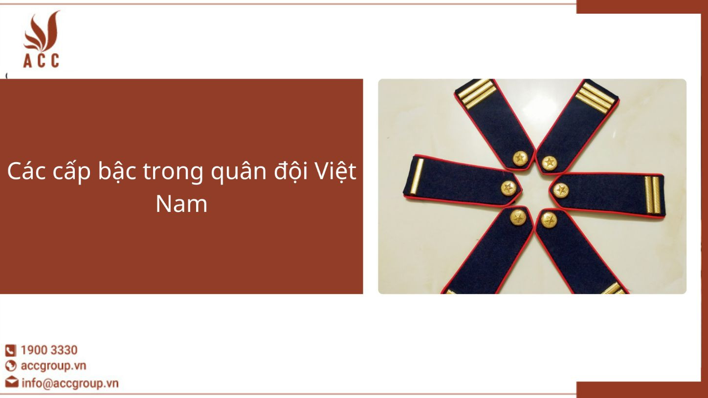 Một Sao Hai Gạch Là Gì?