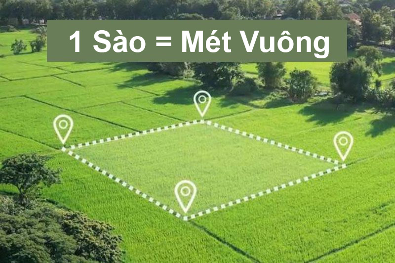 1 Sào Ruộng Bao Nhiêu Tiền?