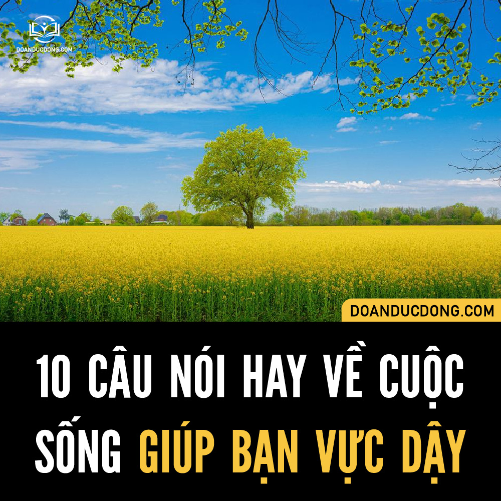 10 Câu Nói Hay Trong Cuộc Sống Gallery 2