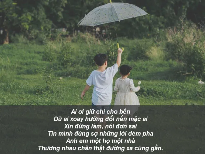 10 Thành Ngữ Tục Ngữ Nói Về Tình Cảm Anh Em Trong Gia Đình Gallery 1