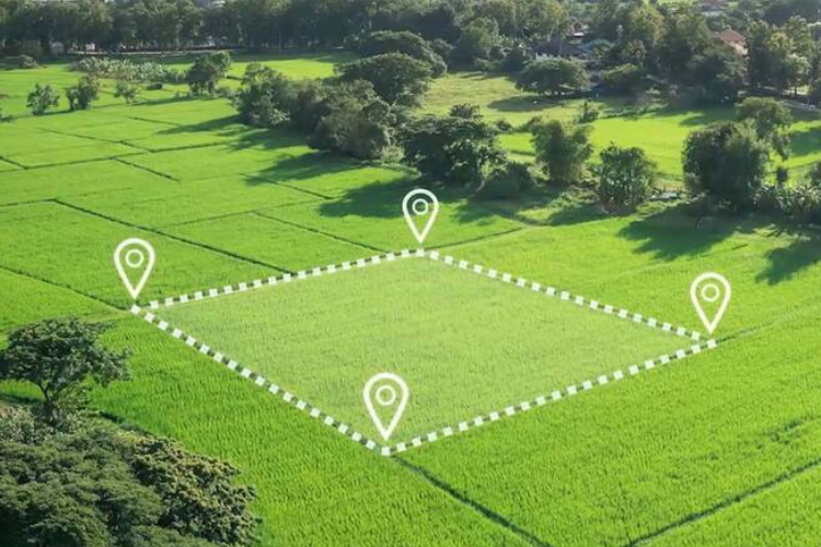 1000m2 bằng bao nhiêu ha?