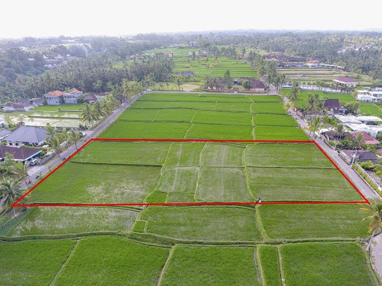 1000m2 bằng bao nhiêu ha? Gallery 1