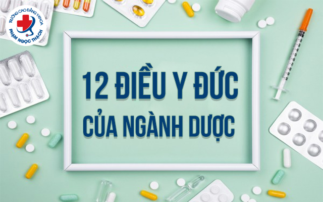 12 Lời Thề Y Đức Gallery 2