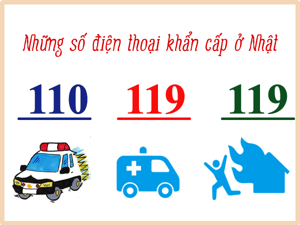 141 là số điện thoại gì?