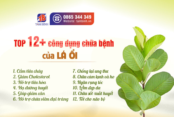 15 Tác Dụng Tuyệt Vời Của Quả La Ổi