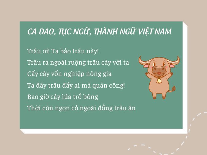 Hai con trâu húc nhau gọi là gì?