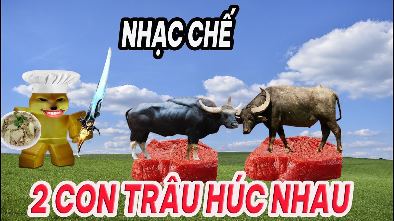 Hai con trâu húc nhau gọi là gì? Gallery 2