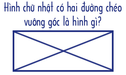 Hai đường chéo hình chữ nhật có vuông góc không?