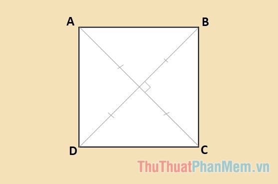 Hai đường chéo hình vuông có vuông góc không?