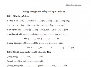 Các Dạng Bài Tập Tiếng Việt Lớp 2 Kì 1 Gallery 2