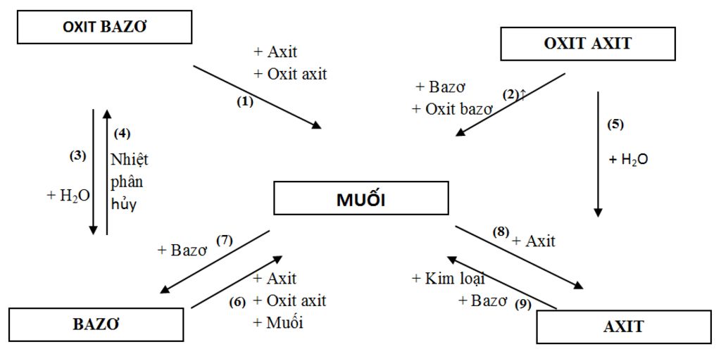 11 Mối Quan Hệ Giữa Các Loại Hợp Chất Vô Cơ Gallery 2