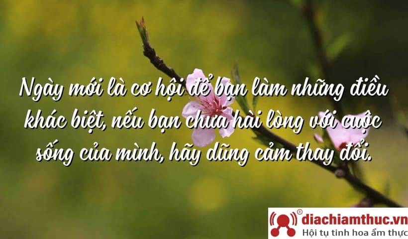 Những Câu Nói Hay Về Cuộc Sống Tươi Đẹp Gallery 2