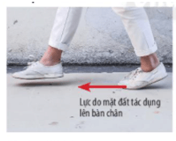 Lực ma sát có tác dụng gì? Ví dụ minh họa Gallery 2