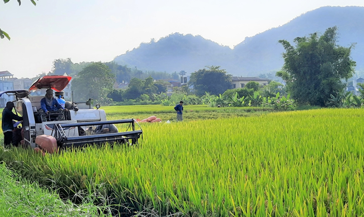Thế mạnh nông nghiệp vùng Trung du và miền núi nước ta Gallery 2