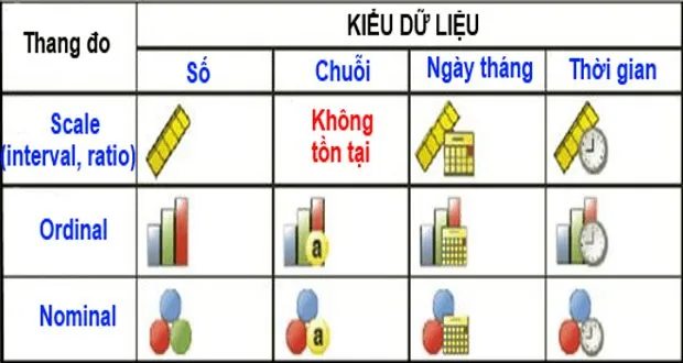 4 Loại Thang Đo Trong Thống Kê: Ví Dụ Minh Họa Gallery 2