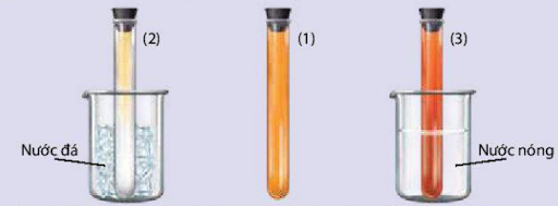Các Yếu Tố Ảnh Hưởng Đến Cân Bằng Hóa Học Gallery 2