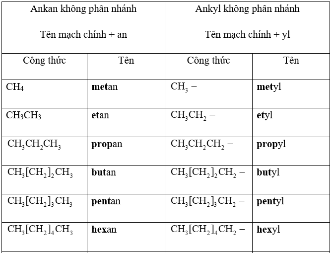 Cách Nhận Biết Ankan Gallery 2