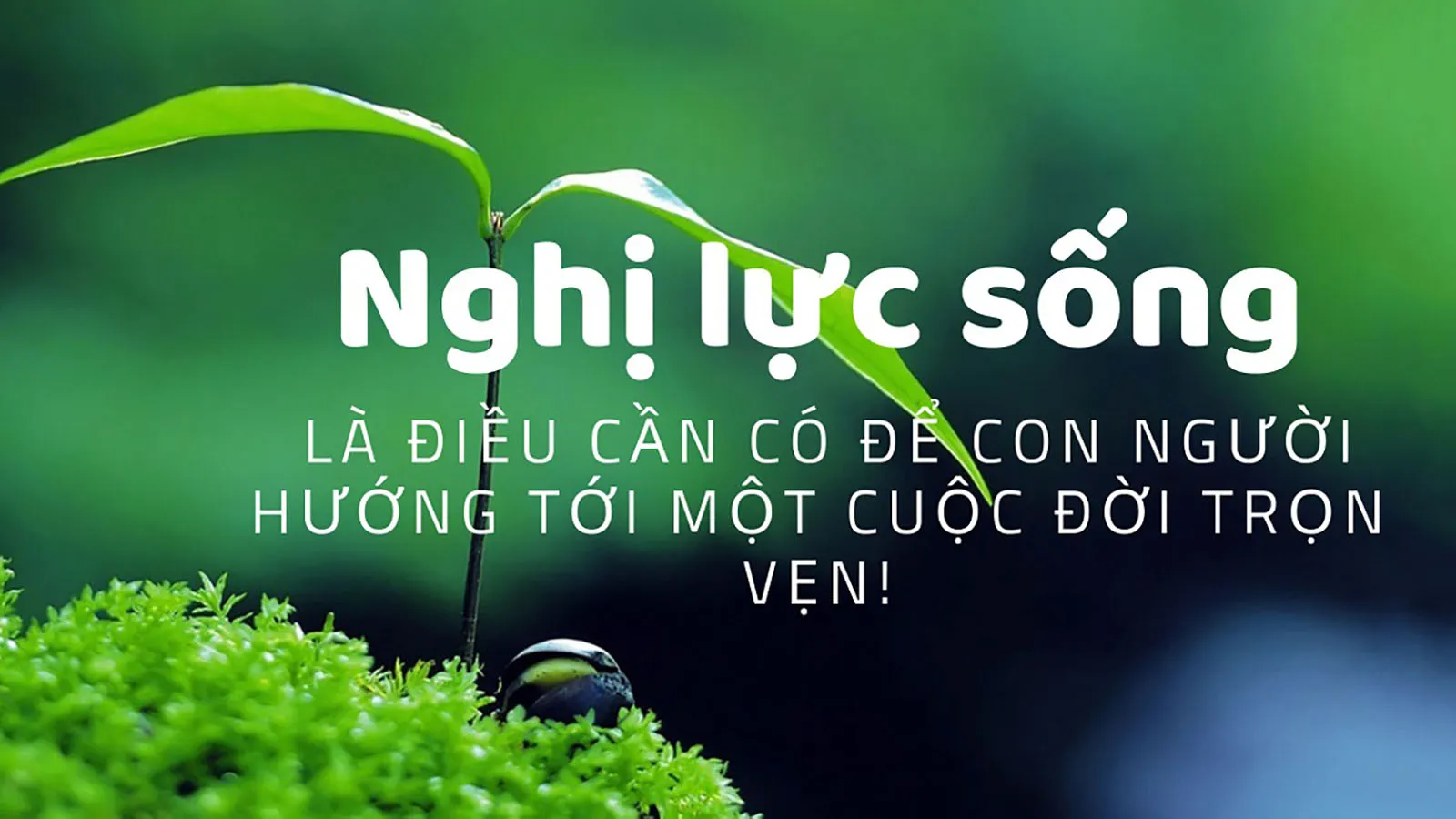 Status Hay Về Nghị Lực Sống:  Những Câu Nói Truyền Cảm Hứng Về Cuộc Sống Gallery 2