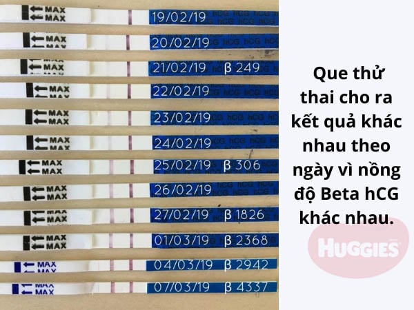 2 Vạch Đậm Là Mấy Tuần?