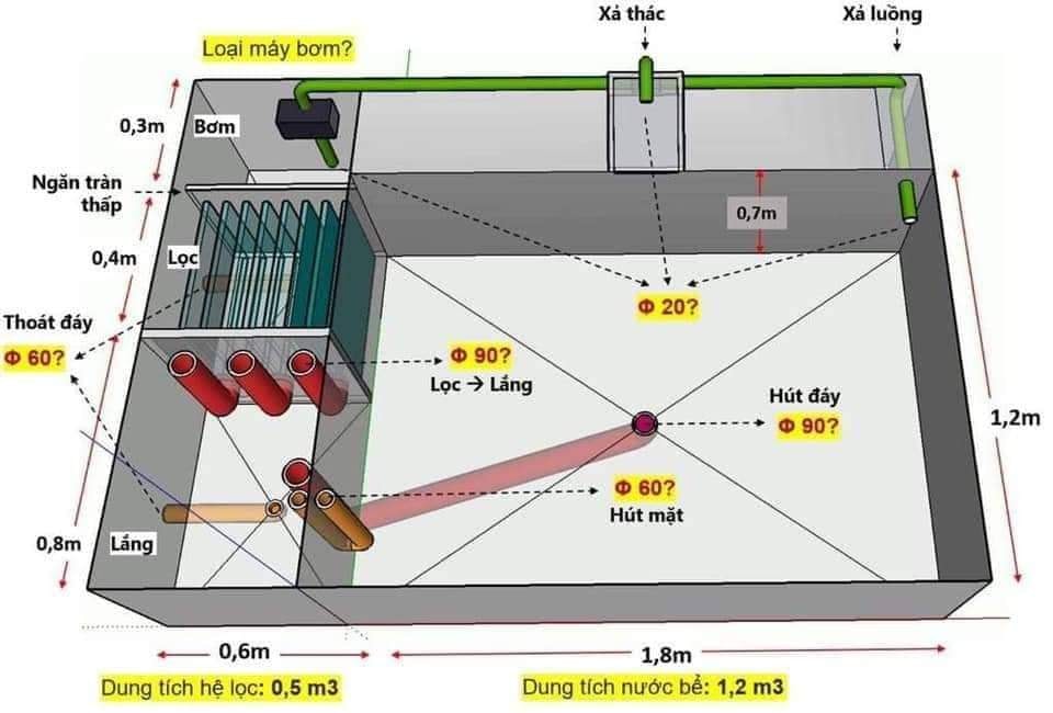 Cách Làm Hồ Cá Koi Gallery 2
