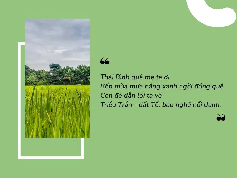 20 Câu Tục Ngữ Về Thái Bình