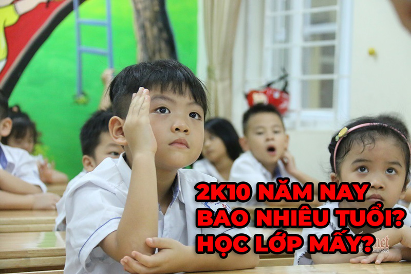 2010 Năm Nay Học Lớp Mấy? Gallery 2