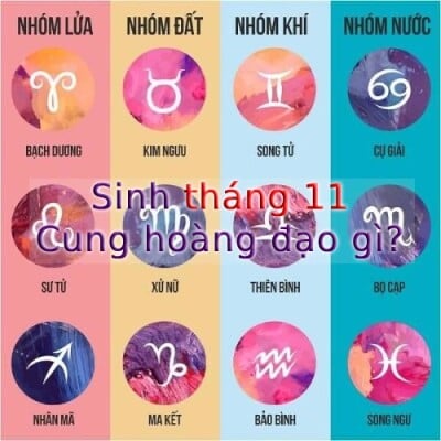 2/11 là cung gì?