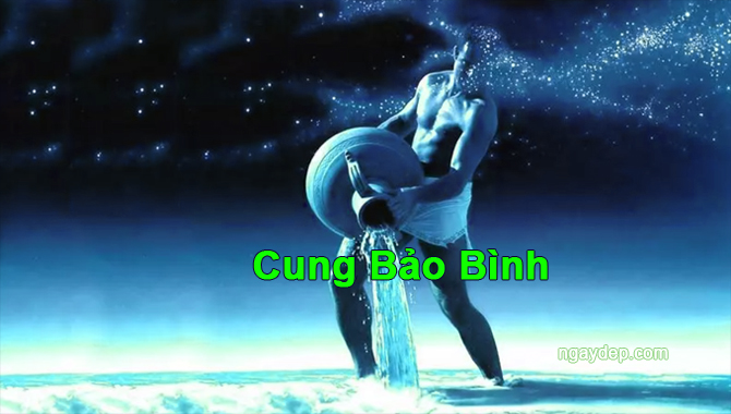 29/1 là cung gì?