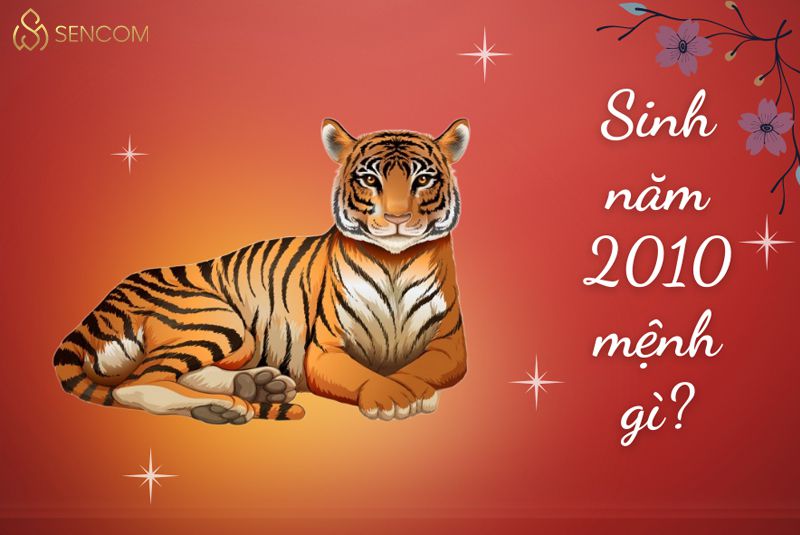 2K10 Tuổi Con Gì?