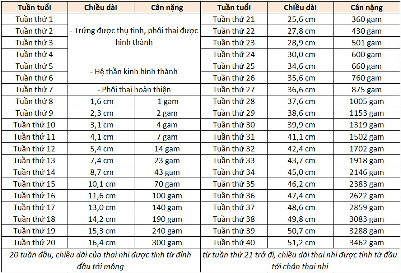 36 Tuần Bé Nặng Bao Nhiêu Kg?