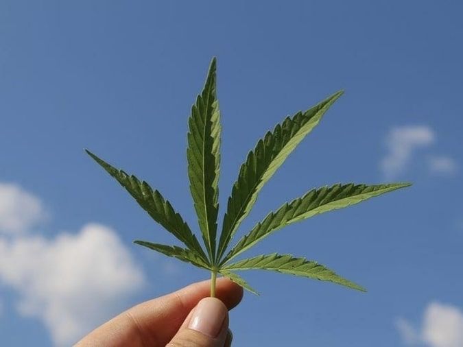 420 Nghĩa Là Gì Trong Tiếng Trung? Gallery 2