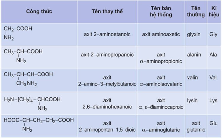 5 Amino Axit Quan Trọng Cho Sức Khỏe