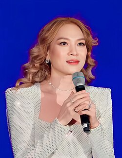 Top 5 Ca sĩ nổi tiếng nhất Việt Nam Gallery 1