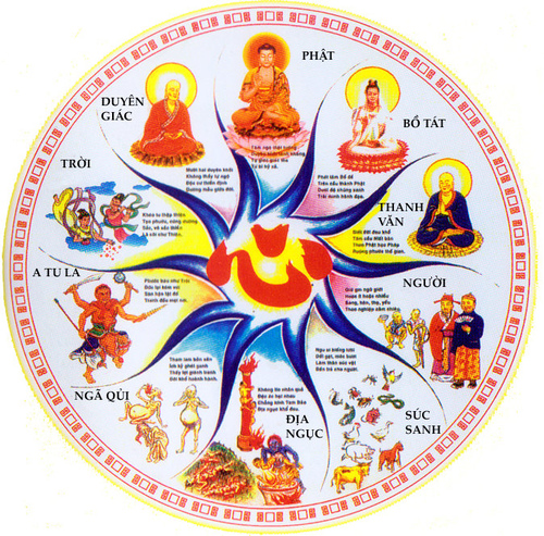 6 Kiếp Luân Hồi