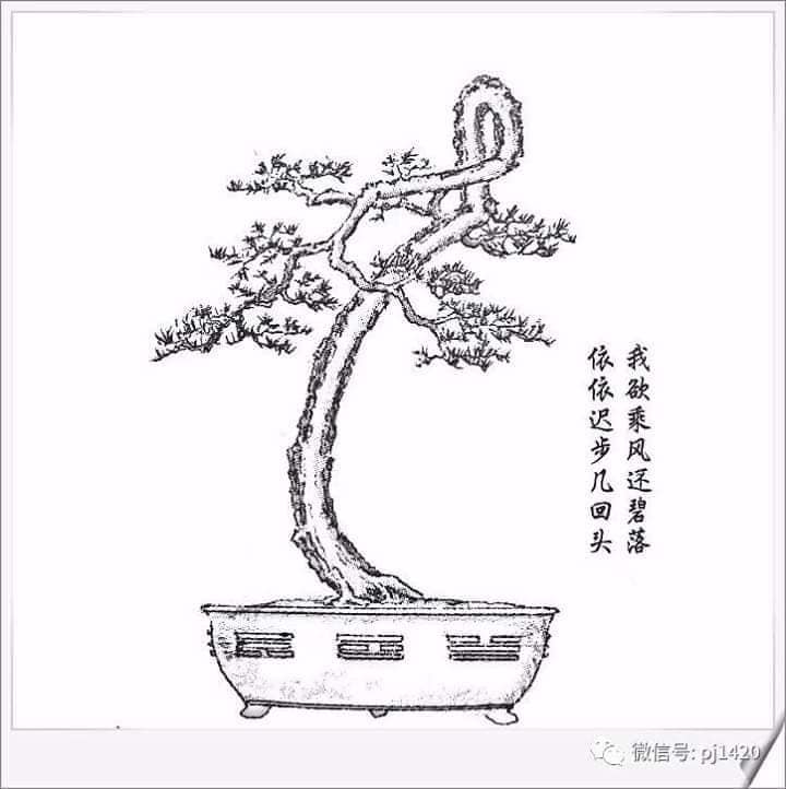 72 Thẻ Cây Cảnh PDF
