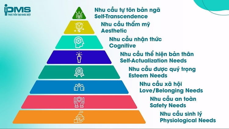 Tối ưu hóa website đạt hiệu quả cao với 8 tầng nhận thức