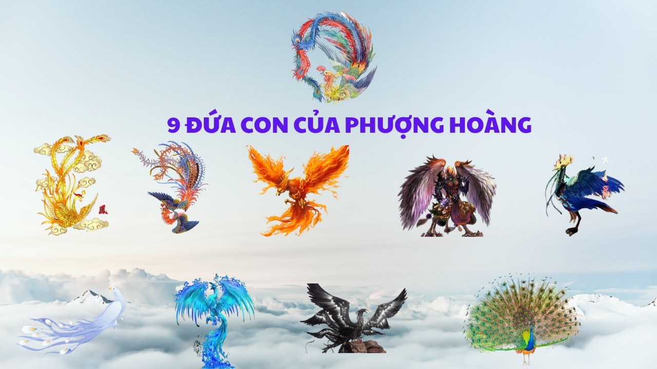 9 Đứa Con Của Phượng Hoàng