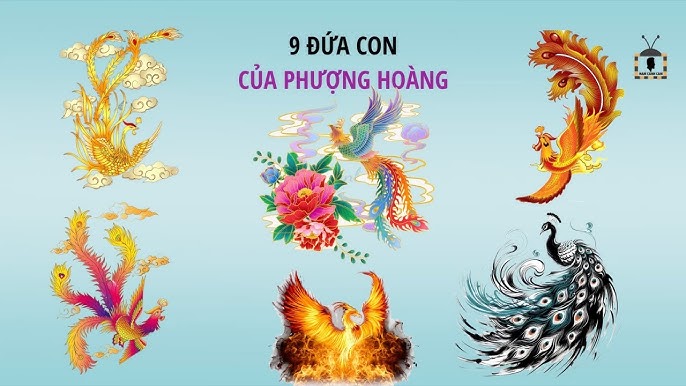9 Đứa Con Của Phượng Hoàng Gallery 2