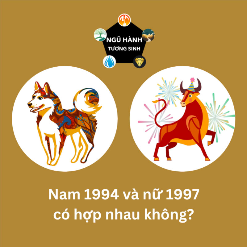 94 và 97 có hợp không?