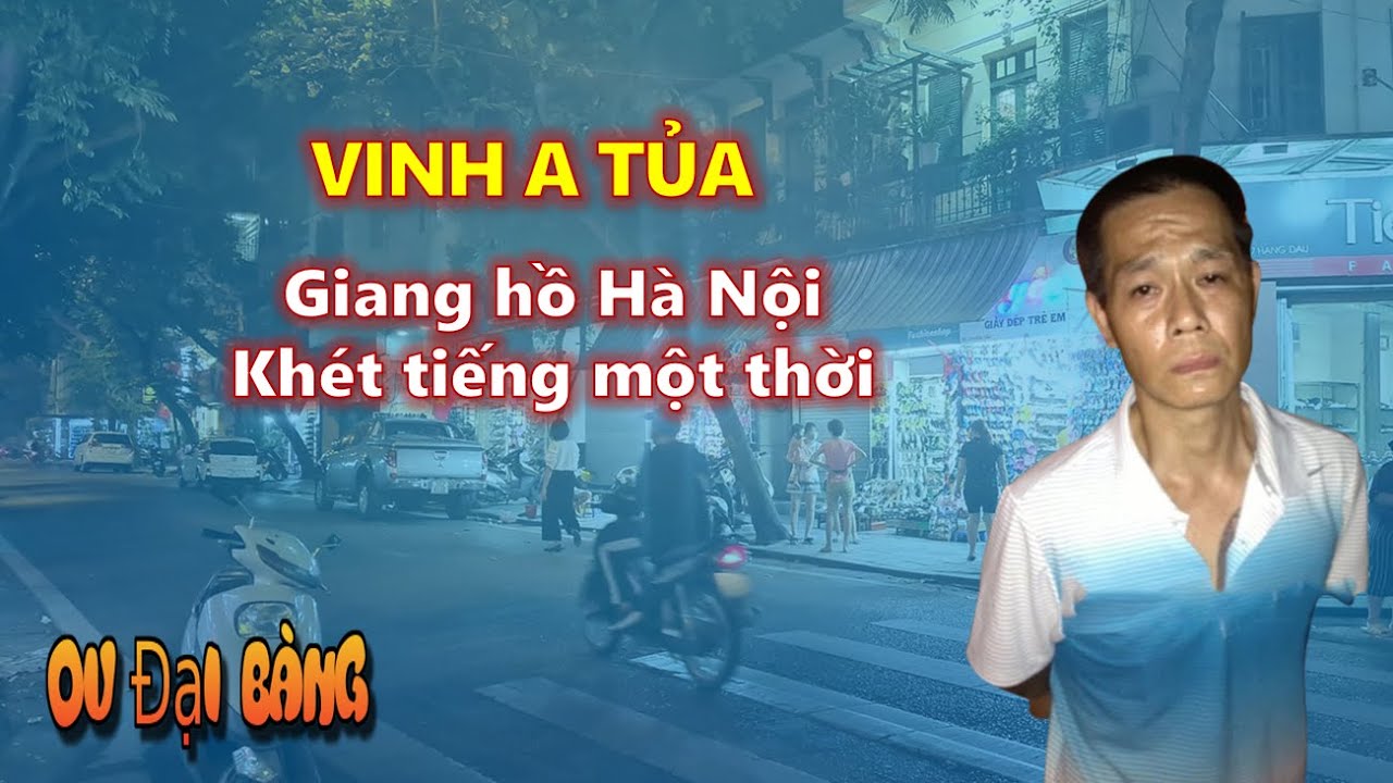 A báo a tủa là gì?