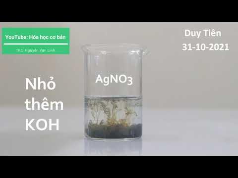 AgNO3 kết tủa màu gì?