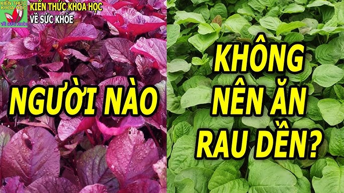 Em có thích ăn rau dền không? Gallery 2