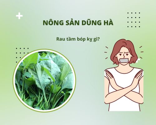 Ai không nên ăn rau tầm bóp?
