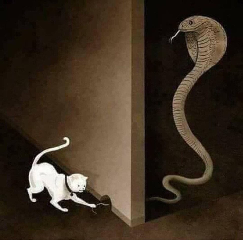 Ai Là Con Mồi?