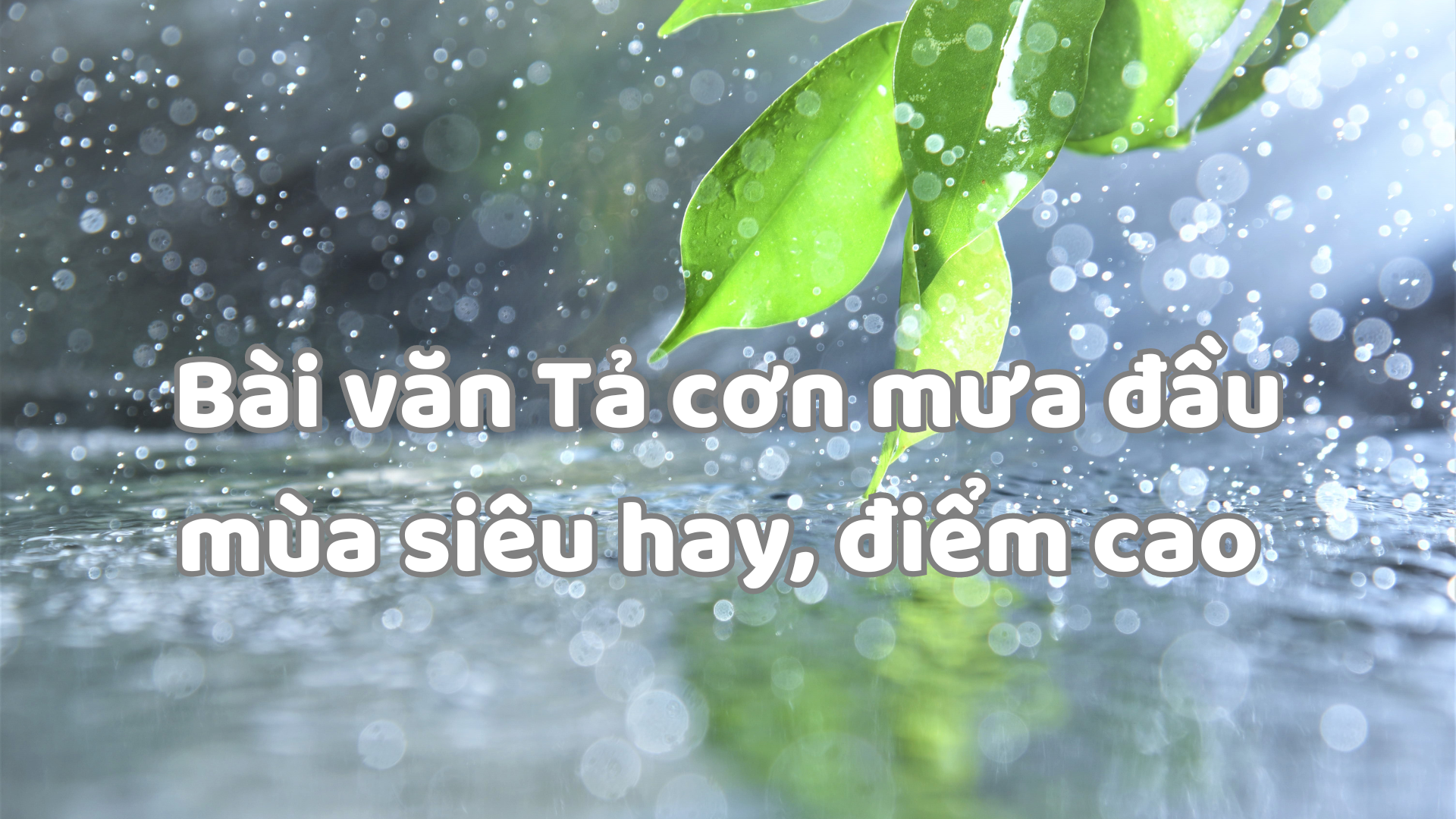 Tả Cơn Mưa Đầu Mùa Gallery 1