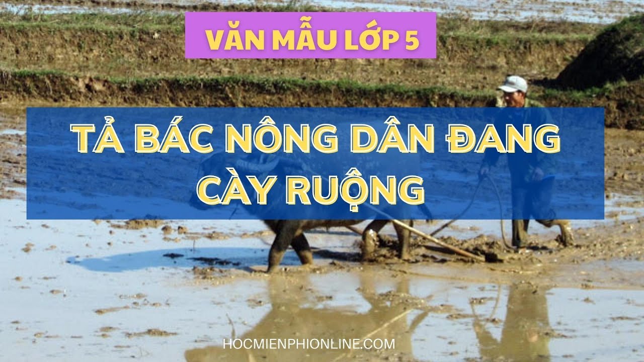 Tả một bác nông dân đang cày ruộng lớp 5 Gallery 2