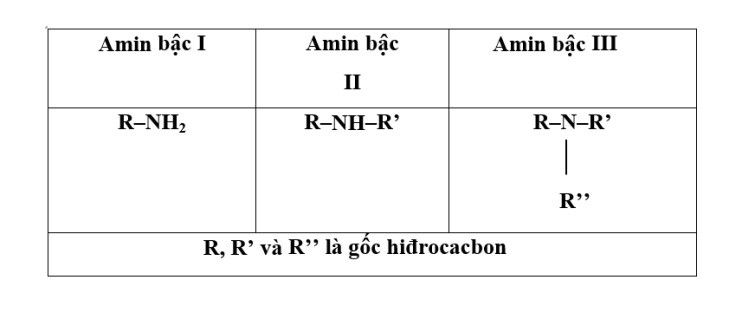 Amin bậc 1 là gì?