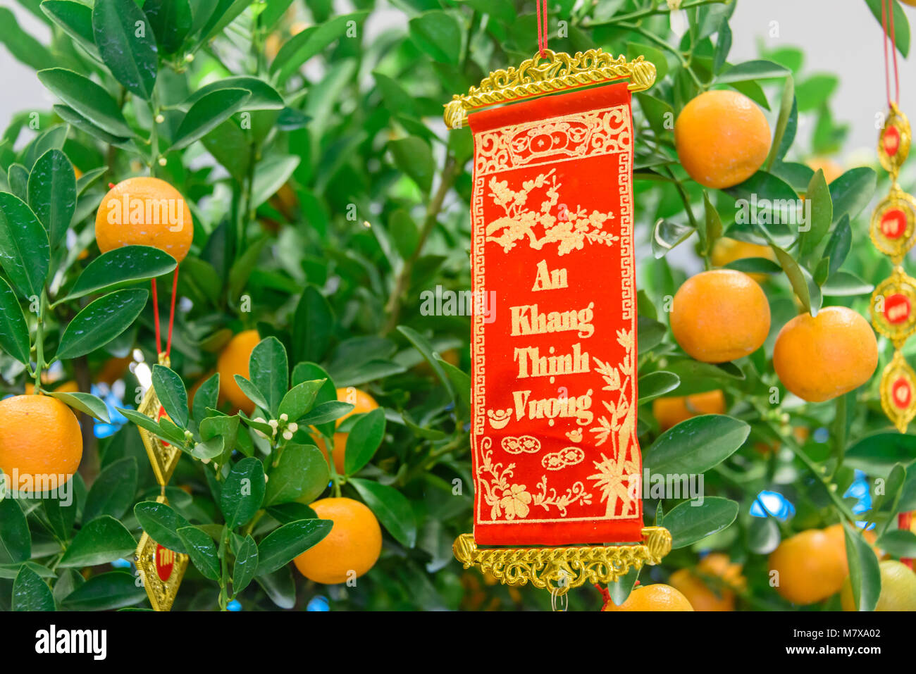 An Khang Thịnh Vượng: Meaning and Significance
