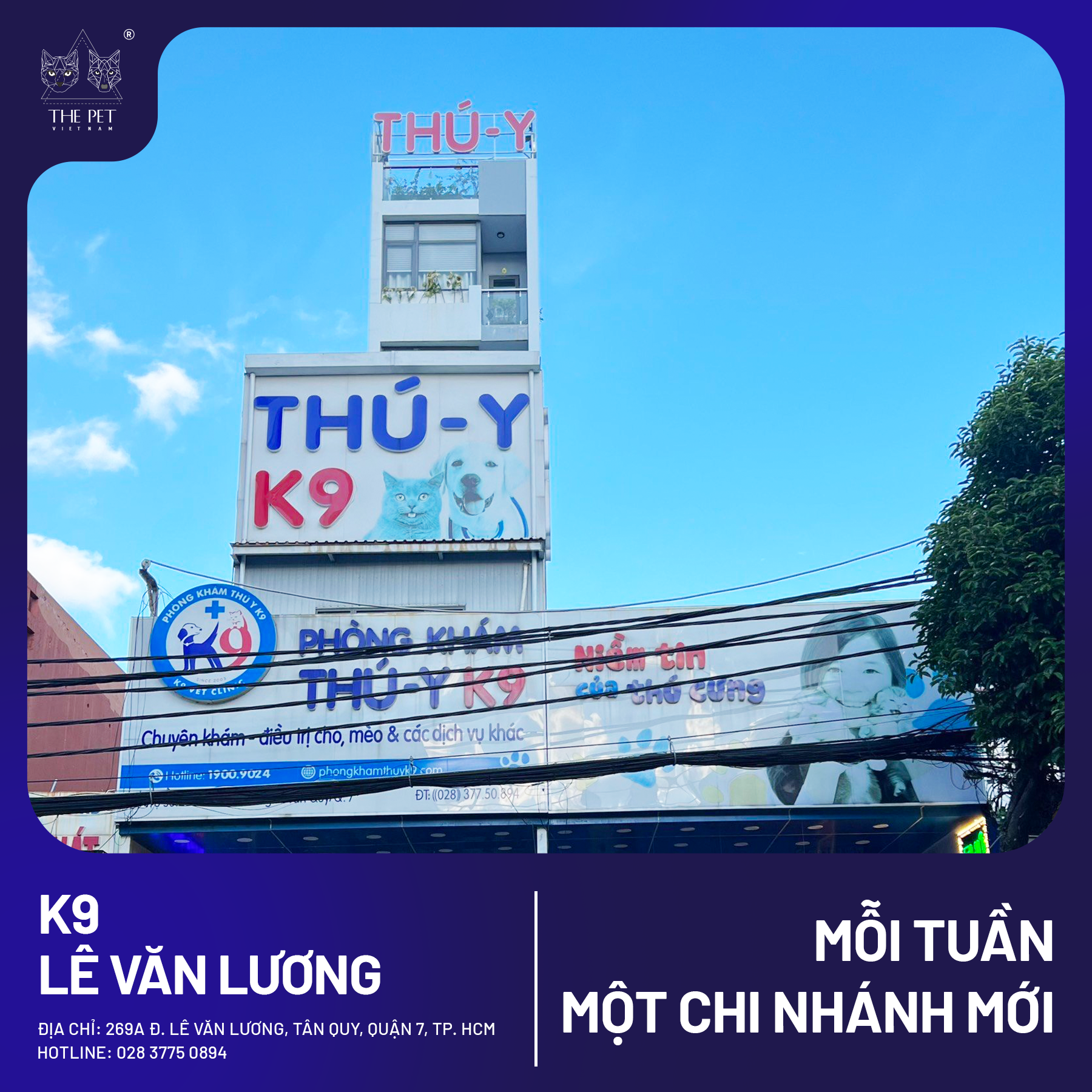 K9 Lê Văn Lương: Thông tin chi tiết về khu đô thị Gallery 2