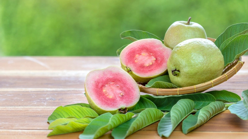 Ăn Ổi Lúc Đói Có Tốt Không?